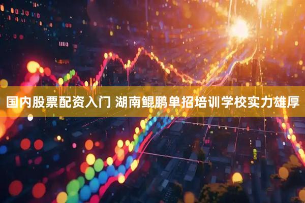 国内股票配资入门 湖南鲲鹏单招培训学校实力雄厚